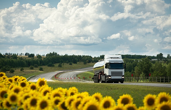 Truck driving past sunflowers